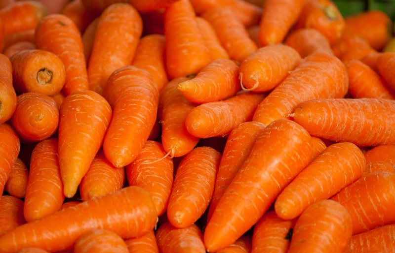 Various Kinds of Immune-Boosting Foods that You Usually Choose